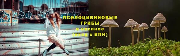 ешки Аркадак